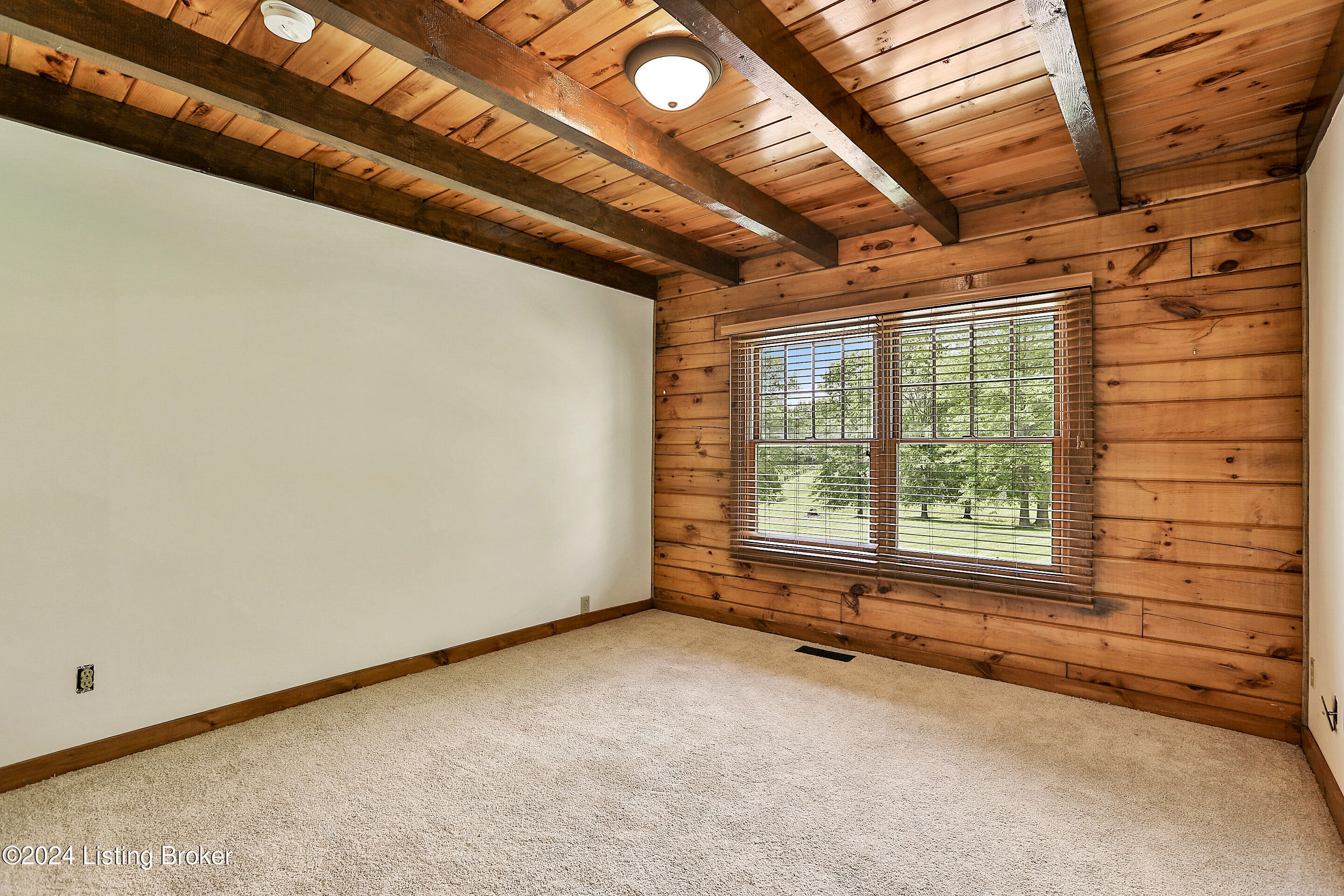 4181 Todds Point Road Simpsonville, KY 40067 - Photo 20 of 37 CT6C9927_1