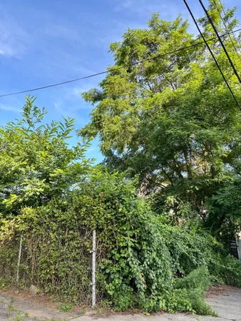 a backyard of a house with lots of green space