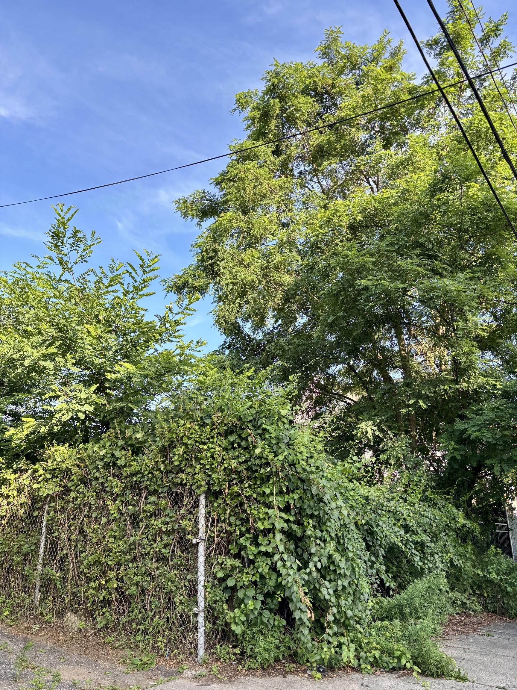 90 Lee Avenue Bridgeport, CT 06605 - Photo 1 of 2 a backyard of a house with lots of green space
