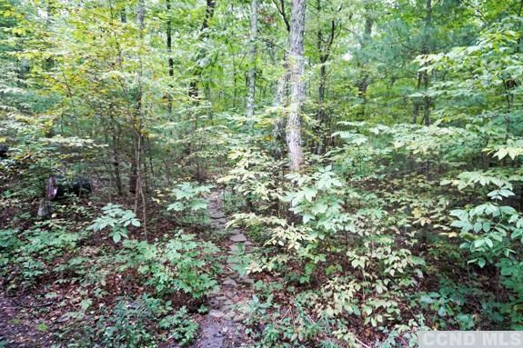 38 James Road Catskill, NY 12414 - Photo 6 of 10 a view of a lush green forest