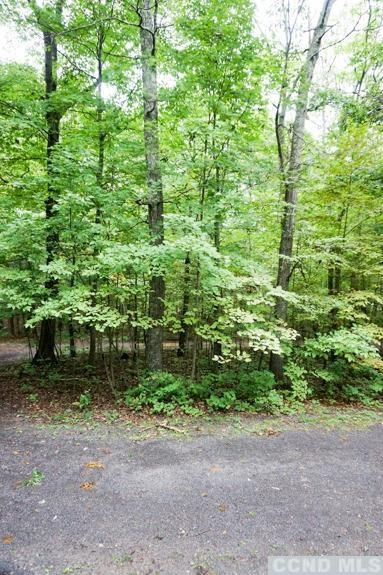 38 James Road Catskill, NY 12414 - Photo 8 of 10 a backyard of a house with lots of green space
