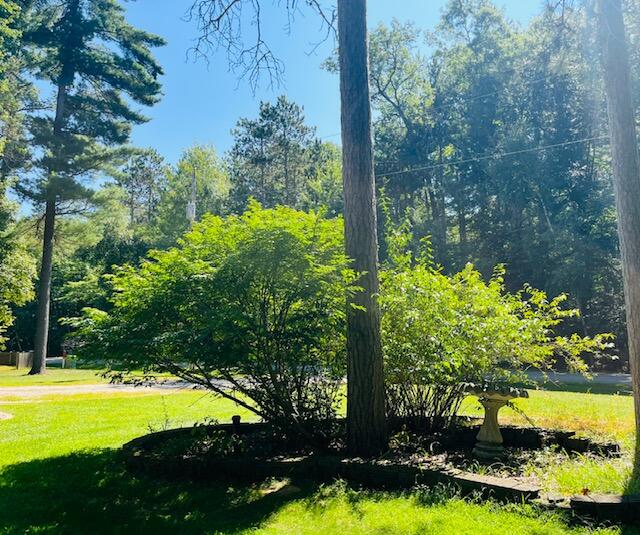 W1380 Little River Road Marinette, WI 54143 - Photo 2 of 43 Marinette road view bush