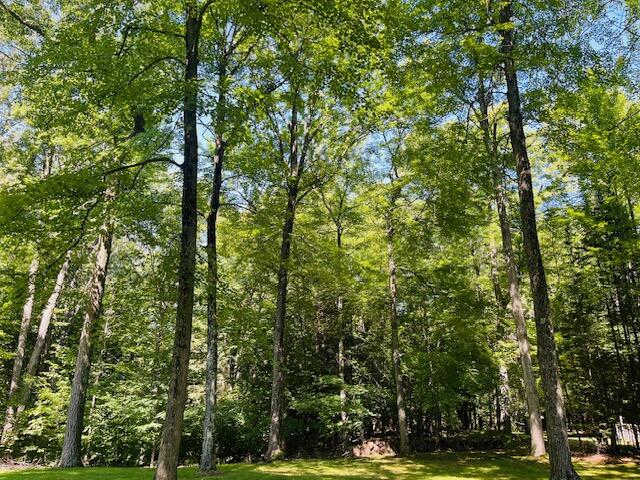 W1380 Little River Road Marinette, WI 54143 - Photo 3 of 43 Marinette woods 1