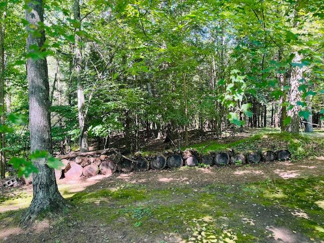 W1380 Little River Road Marinette, WI 54143 - Photo 4 of 43 Marinette woods 2