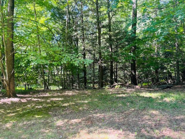 W1380 Little River Road Marinette, WI 54143 - Photo 5 of 43 Marinette woods 3