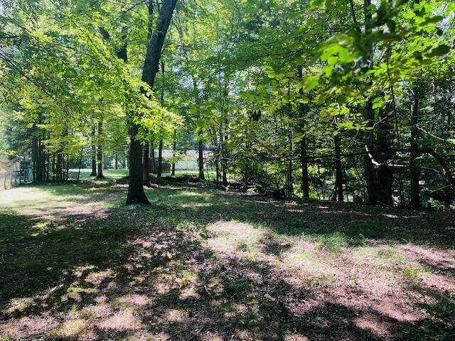 W1380 Little River Road Marinette, WI 54143 - Photo 6 of 43 Marinette woods 5