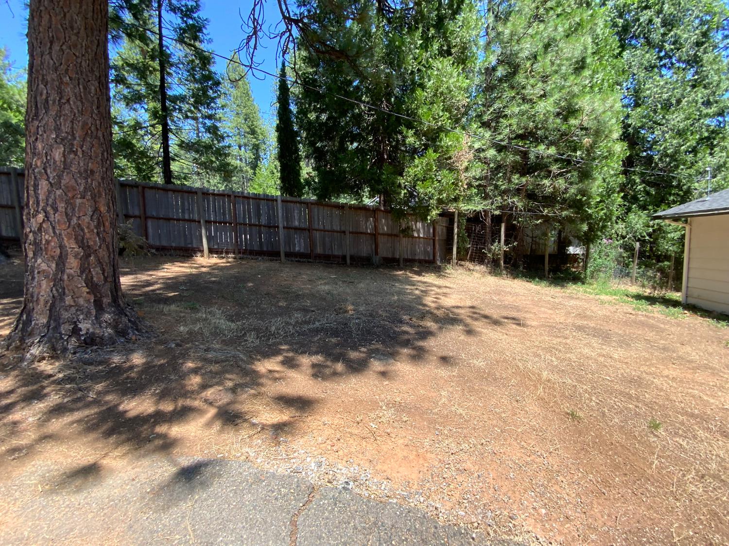 5781 Sly Park Road Pollock Pines, CA 95726 - Photo 40 of 40 a backyard of a house with lots of green space