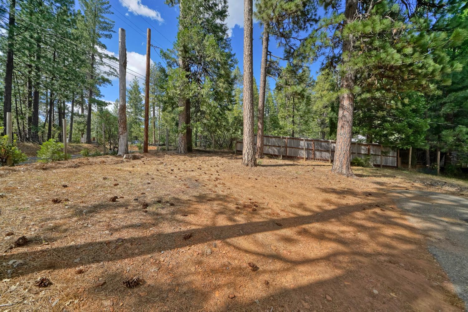 5781 Sly Park Road Pollock Pines, CA 95726 - Photo 10 of 40 a backyard of a house with lots of green space