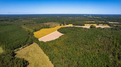 1 House Road Summerton, SC 29148 - Photo 5 of 15 Gallery Image 5