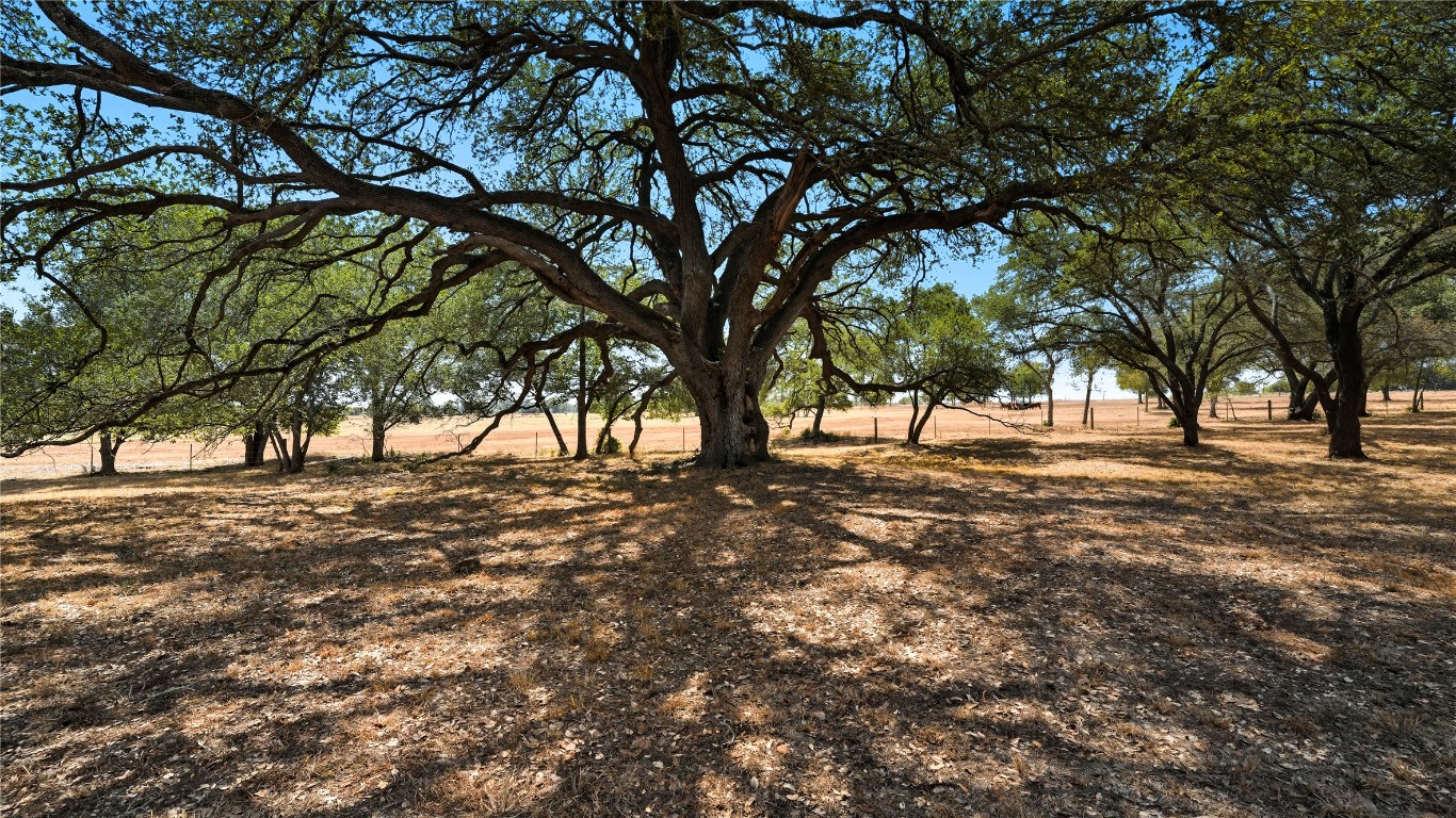 2656 River Bend Road Smithville, TX 78957 - Photo 23 of 40 a view of outdoor space with trees