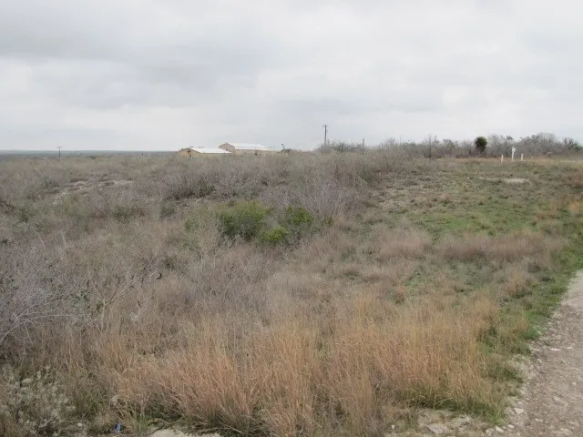 $20,235 | 1 Co Rd 391, Benavides, TX 78341