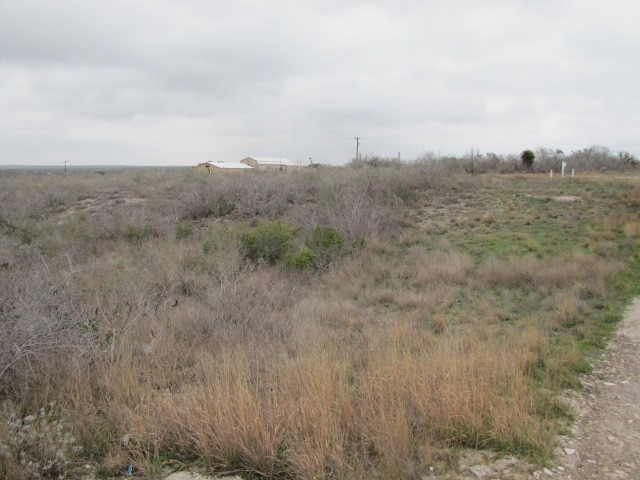 1 Co Rd 391 Benavides, TX 78341 - Photo 3 of 3