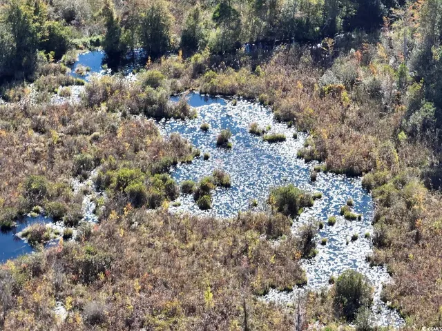 $940,000 | Law Road, Pinewood, SC 29125