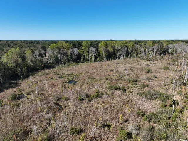 $940,000 | Law Road, Pinewood, SC 29125