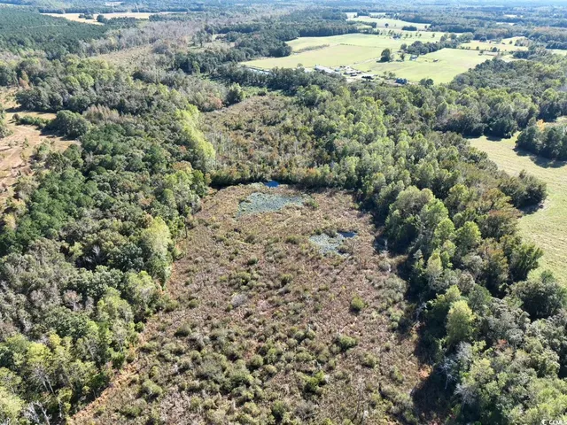 $940,000 | Law Road, Pinewood, SC 29125