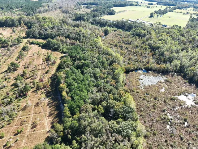 $940,000 | Law Road, Pinewood, SC 29125