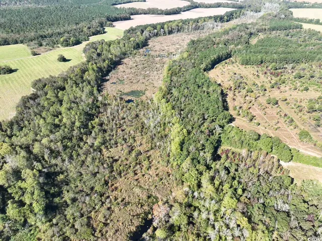 $940,000 | Law Road, Pinewood, SC 29125