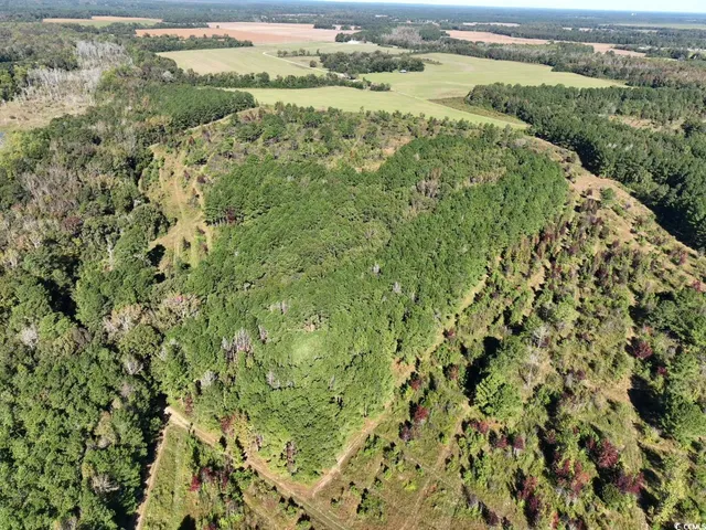 $940,000 | Law Road, Pinewood, SC 29125