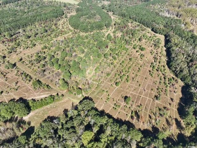 $940,000 | Law Road, Pinewood, SC 29125