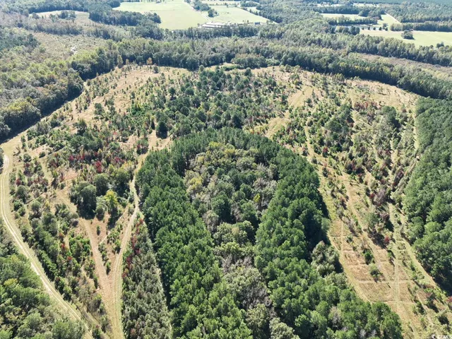 $940,000 | Law Road, Pinewood, SC 29125