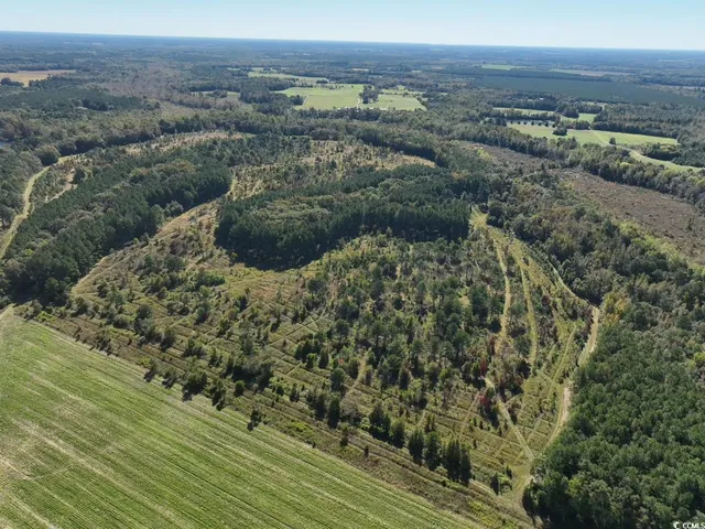 $940,000 | Law Road, Pinewood, SC 29125