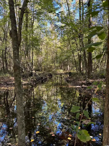 $940,000 | Law Road, Pinewood, SC 29125