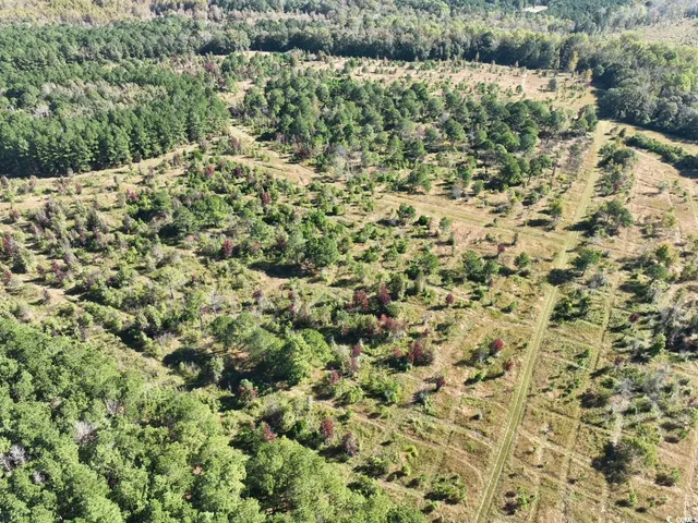 $940,000 | Law Road, Pinewood, SC 29125