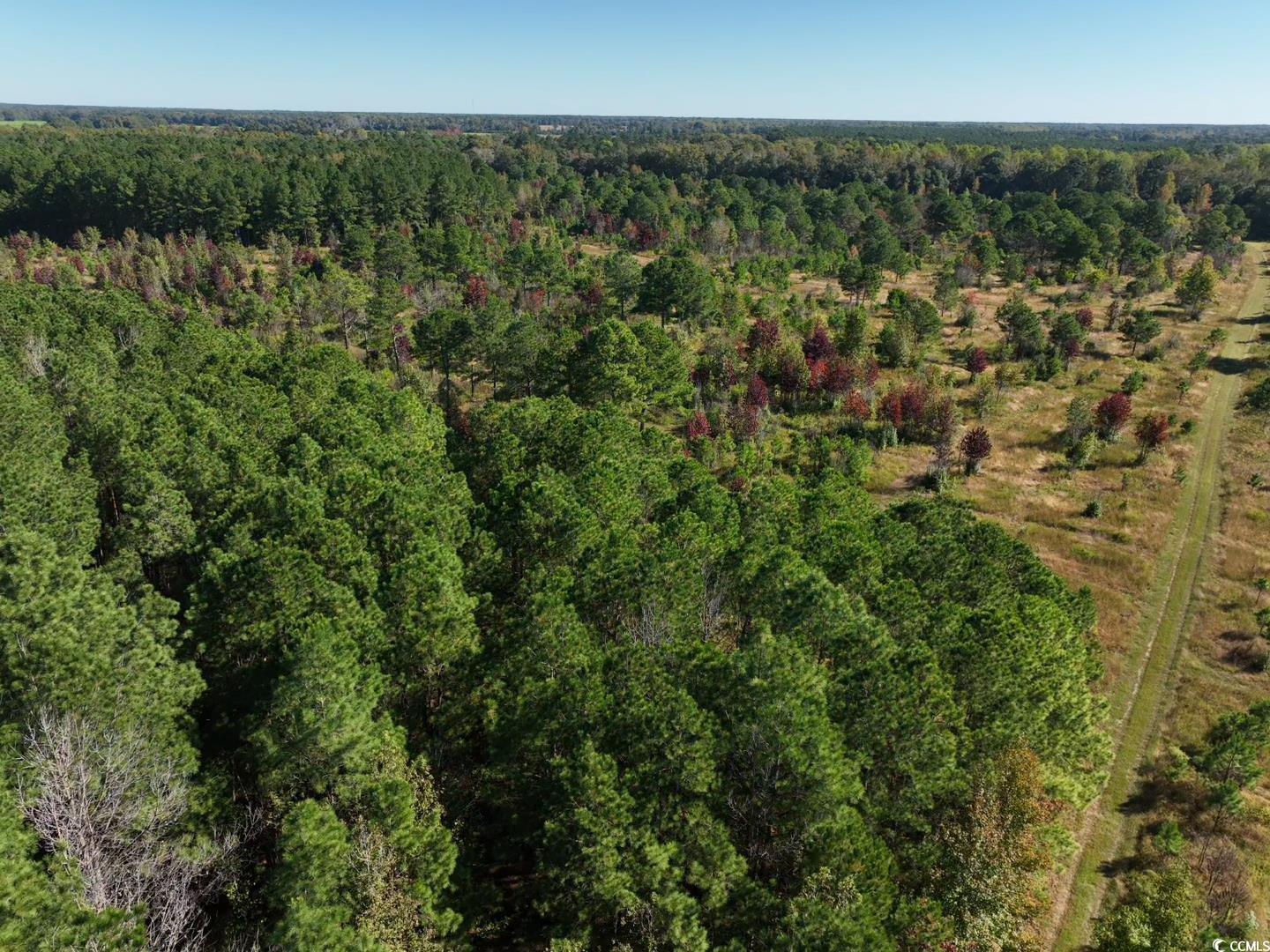 Law Road Pinewood, SC 29125 - Photo 22 of 23 Gallery Image 22