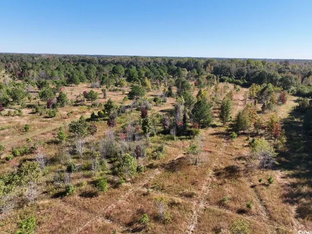 $940,000 | Law Road, Pinewood, SC 29125