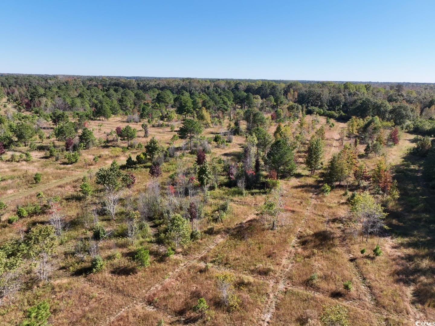 Law Road Pinewood, SC 29125 - Photo 23 of 23 Gallery Image 23