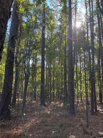 $940,000 | Law Road, Pinewood, SC 29125