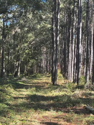 $940,000 | Law Road, Pinewood, SC 29125