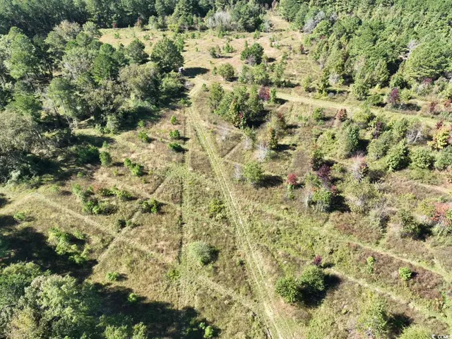 $940,000 | Law Road, Pinewood, SC 29125