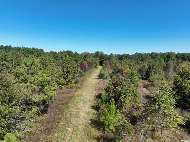 $940,000 | Law Road, Pinewood, SC 29125