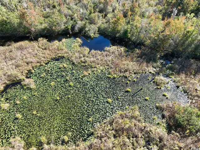 $940,000 | Law Road, Pinewood, SC 29125