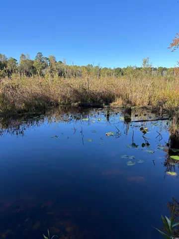 $940,000 | Law Road, Pinewood, SC 29125