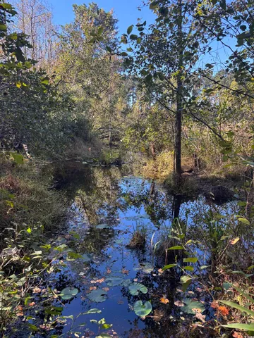 $940,000 | Law Road, Pinewood, SC 29125