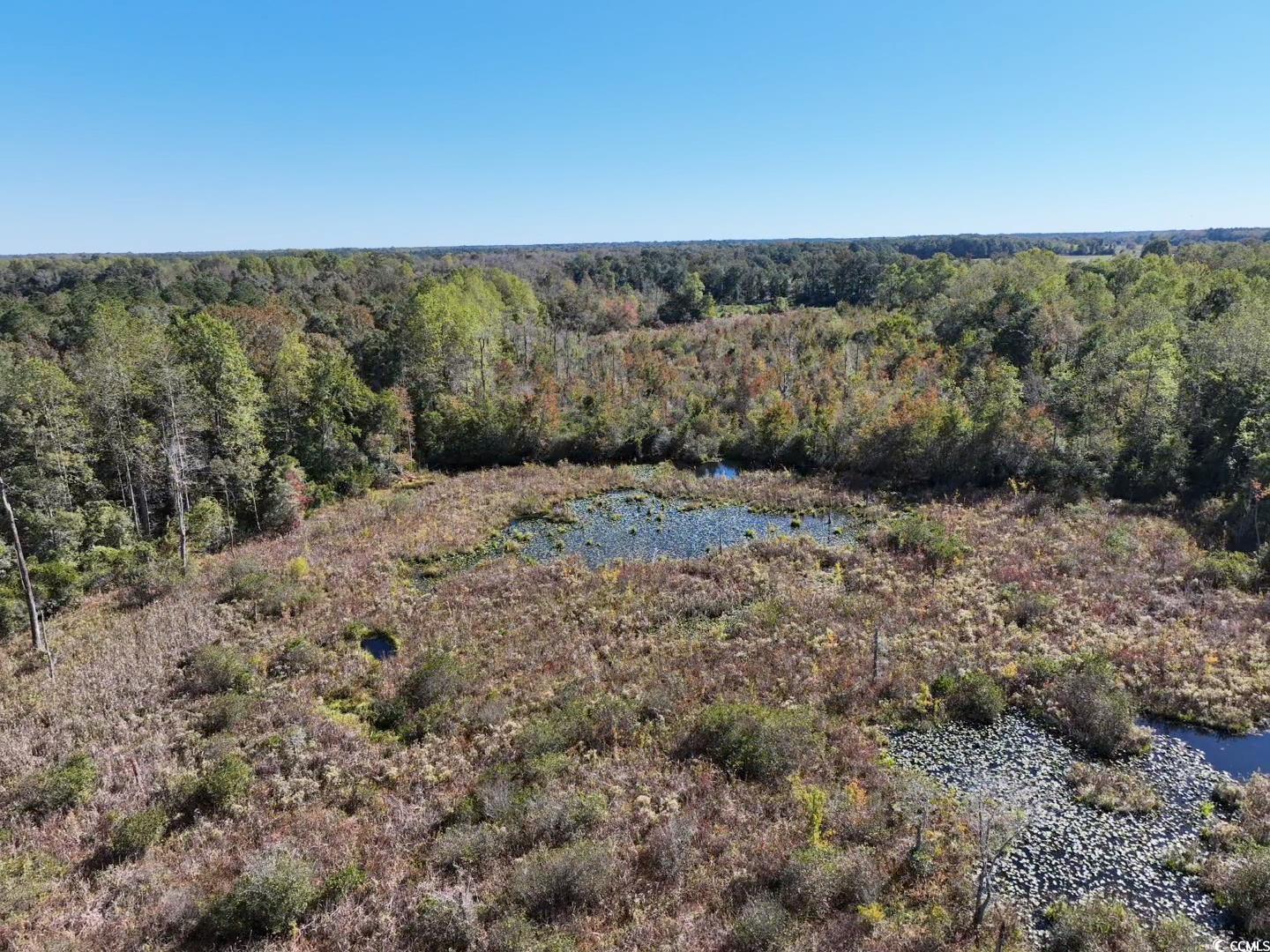 Law Road Pinewood, SC 29125 - Photo 10 of 23 Gallery Image 10