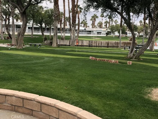 a park with lots of trees and plants