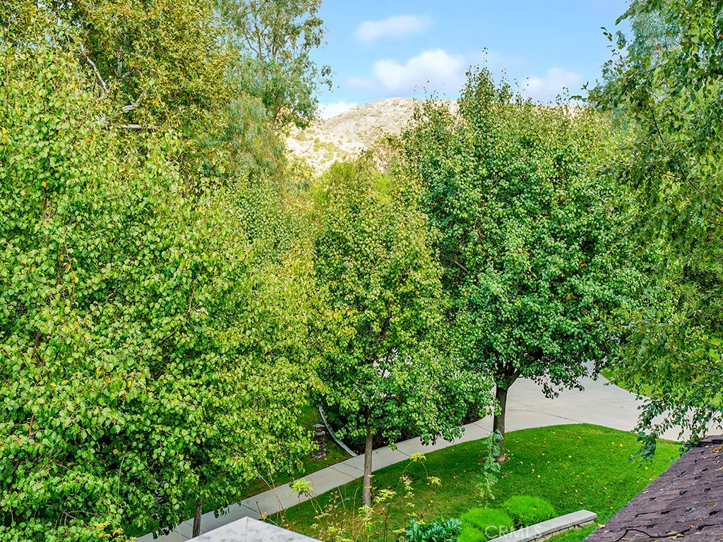 28291 Williams Canyon Road Silverado, CA 92676 - Photo 31 of 74