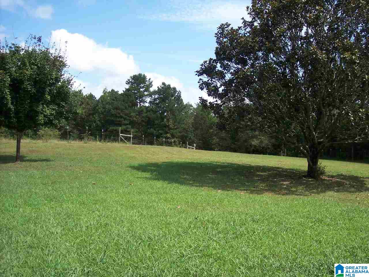 1561 Ross Lake Road Wellington, AL 36279 - Photo 39 of 50