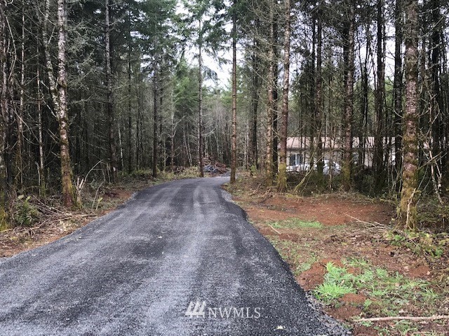 156 Nelson Road Winlock, WA 98596 - Photo 2 of 19 a backyard of a house with lots of green space