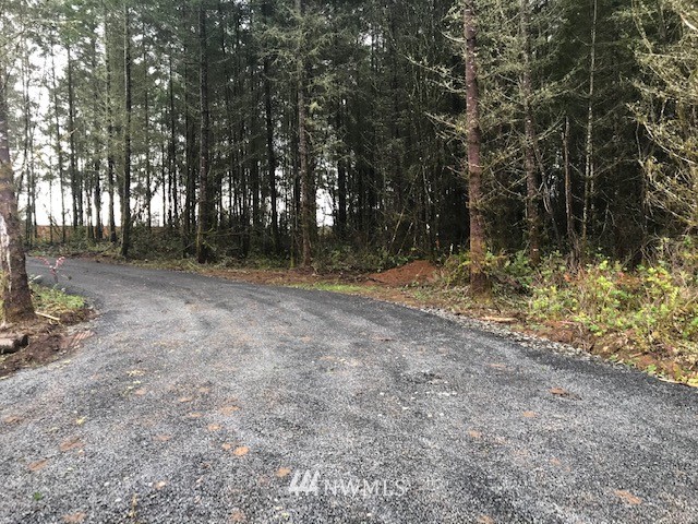 156 Nelson Road Winlock, WA 98596 - Photo 16 of 19 a view of dirt yard with trees