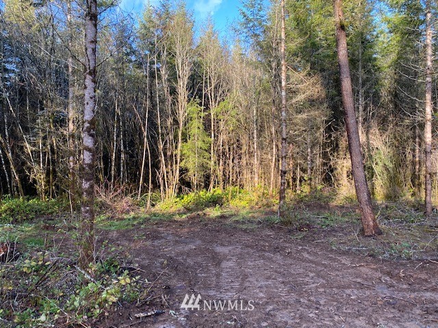 156 Nelson Road Winlock, WA 98596 - Photo 17 of 19 a backyard of a house with lots of green space