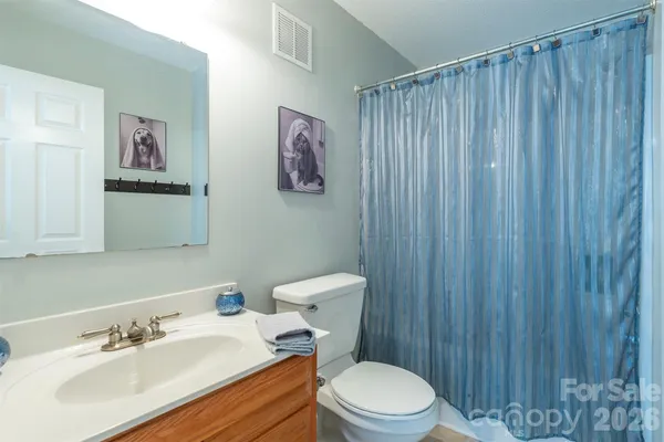 a bathroom with a sink a toilet and shower curtain