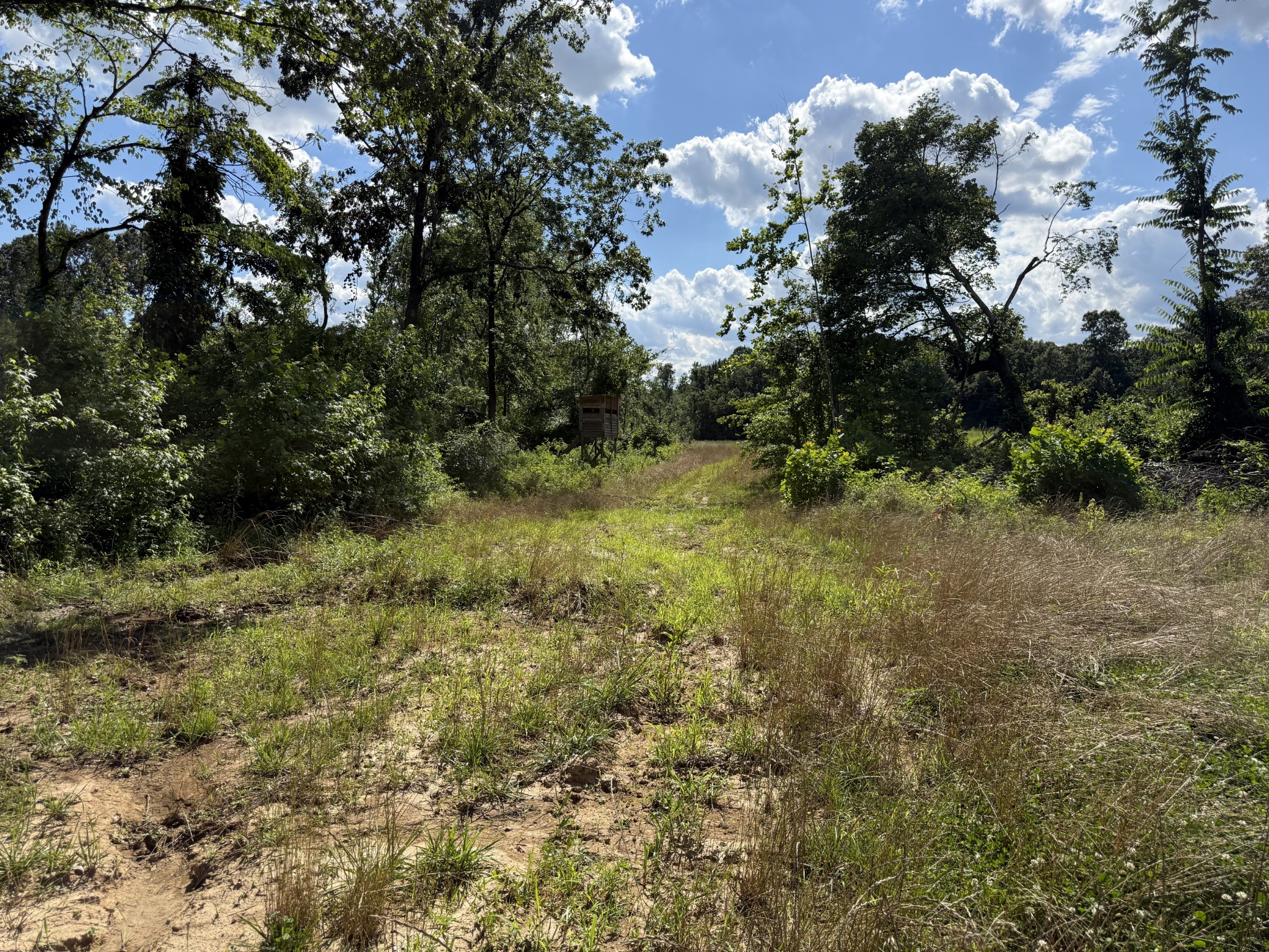 2333 Shady Grove Road McKenzie, TN 38201 - Photo 54 of 72