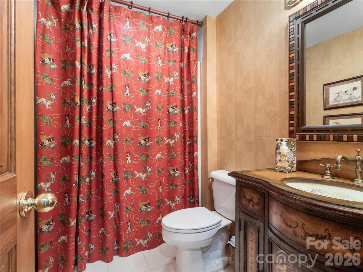 121 Ivy Ridge Road Burnsville, NC 28714 - Photo 28 of 48 a bathroom with a sink a toilet and a mirror