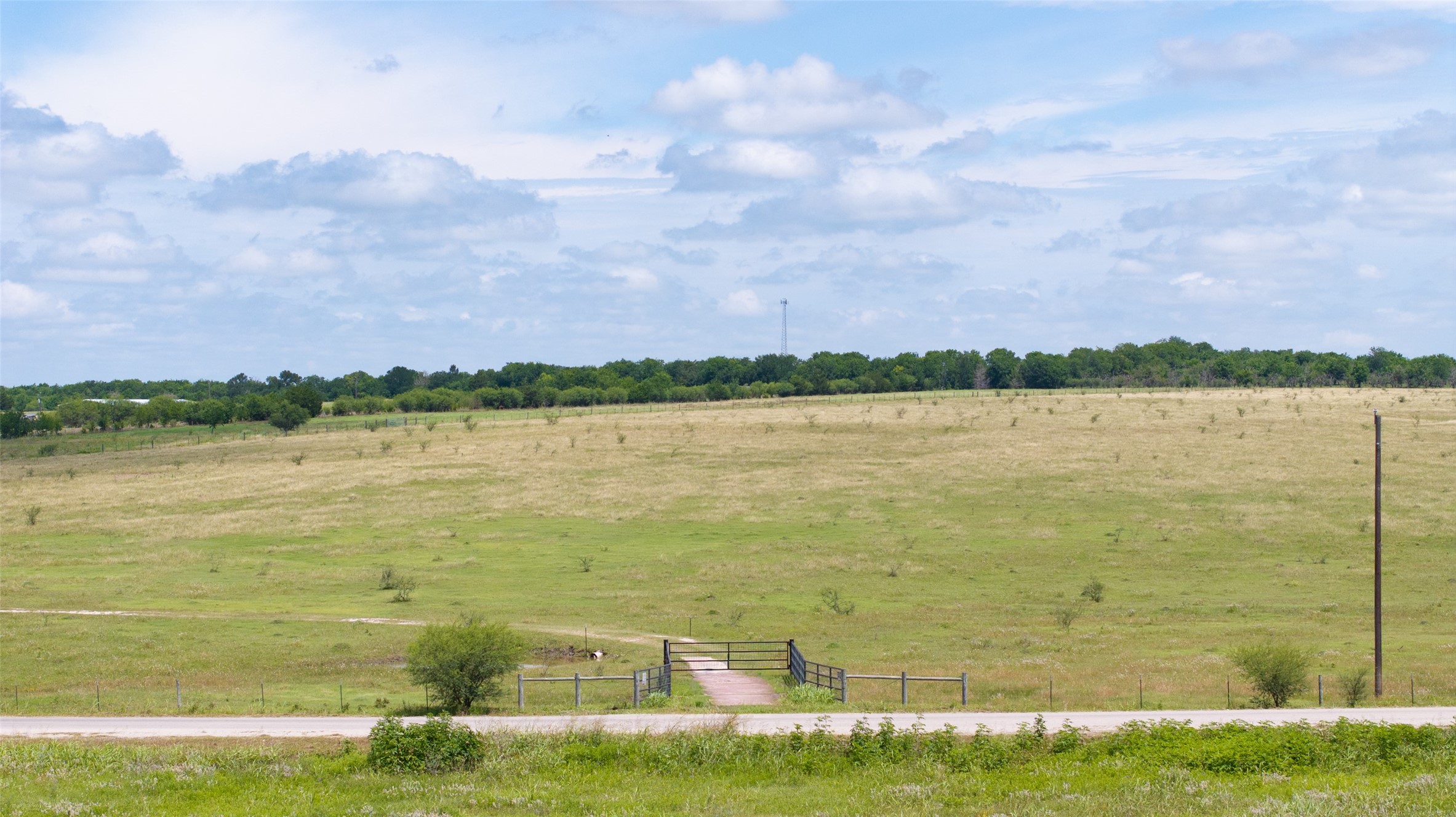 5661 Chadwick-Hogan Road Chappell Hill, TX 77426 - Photo 9 of 22