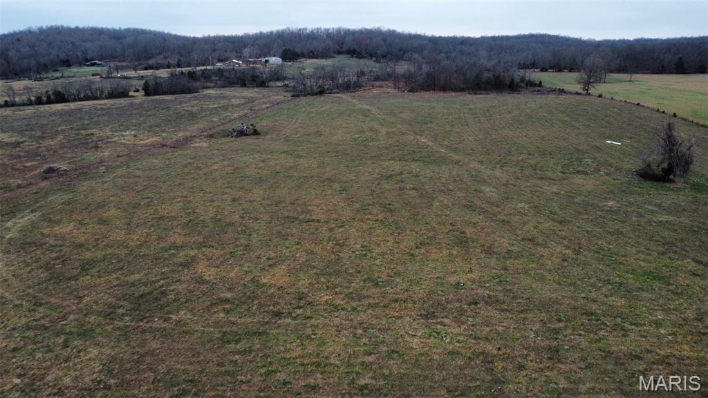 1 Ripley Z-4 Gatewood, MO 63942 - Photo 4 of 10