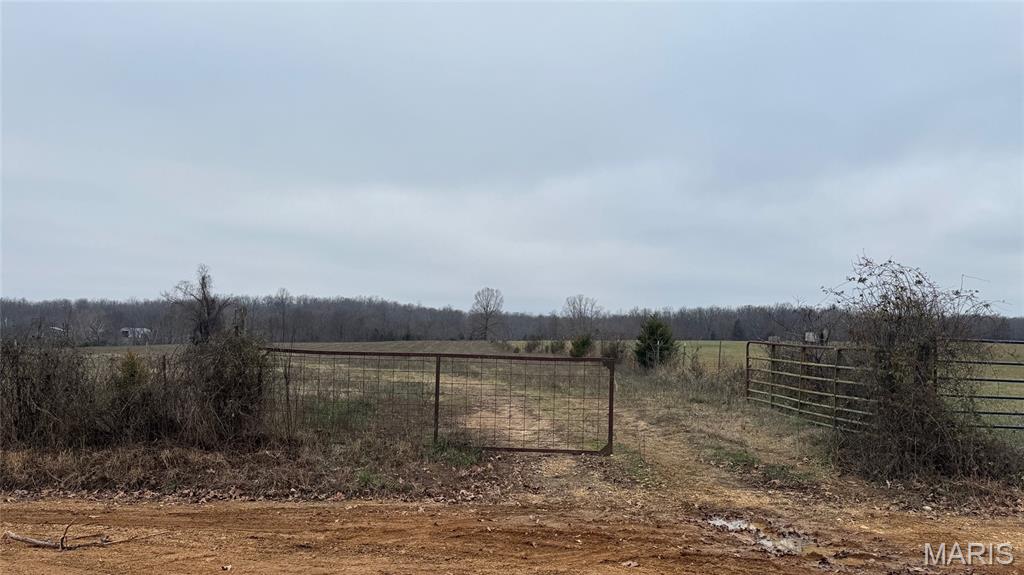 1 Ripley Z-4 Gatewood, MO 63942 - Photo 6 of 10